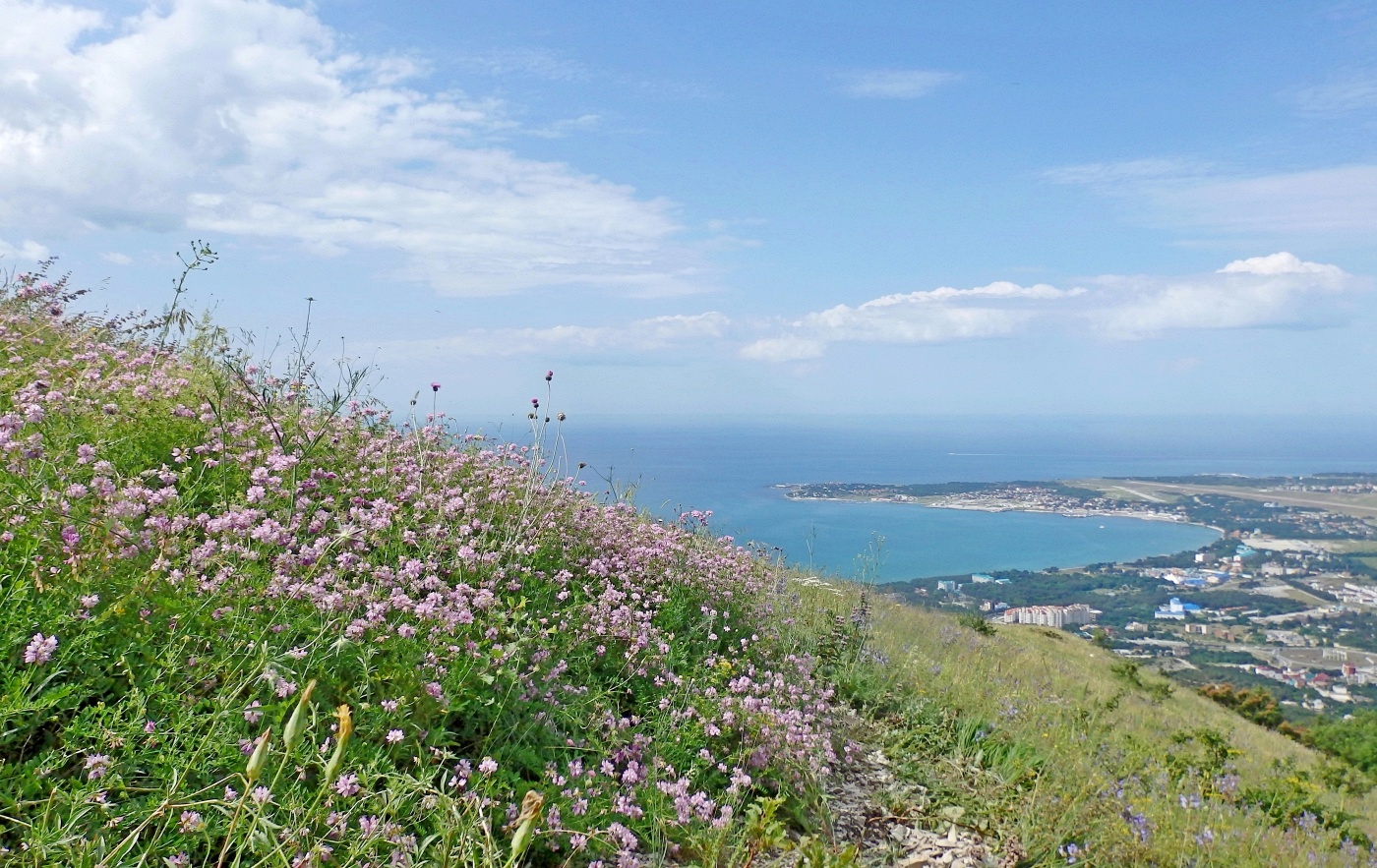 Окрестности Геленджика, image of landscape/habitat.