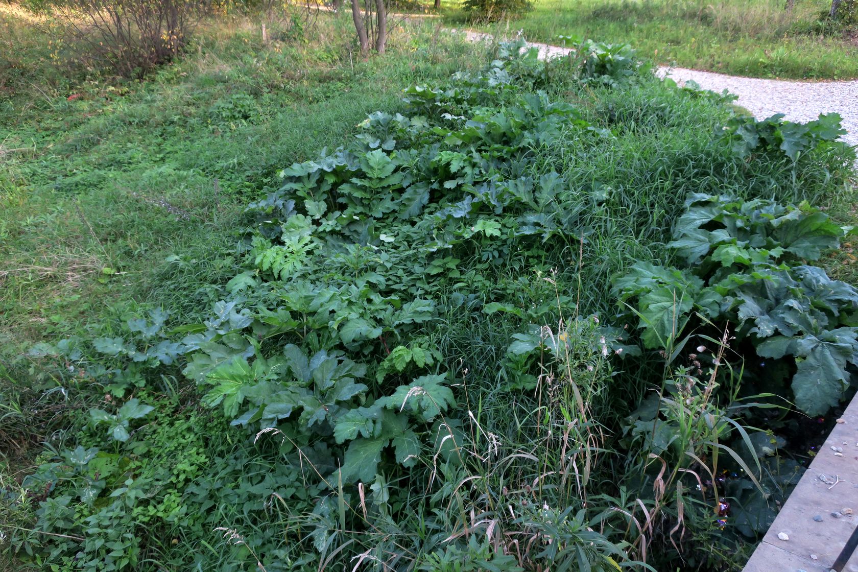 Истра и окрестности, image of landscape/habitat.