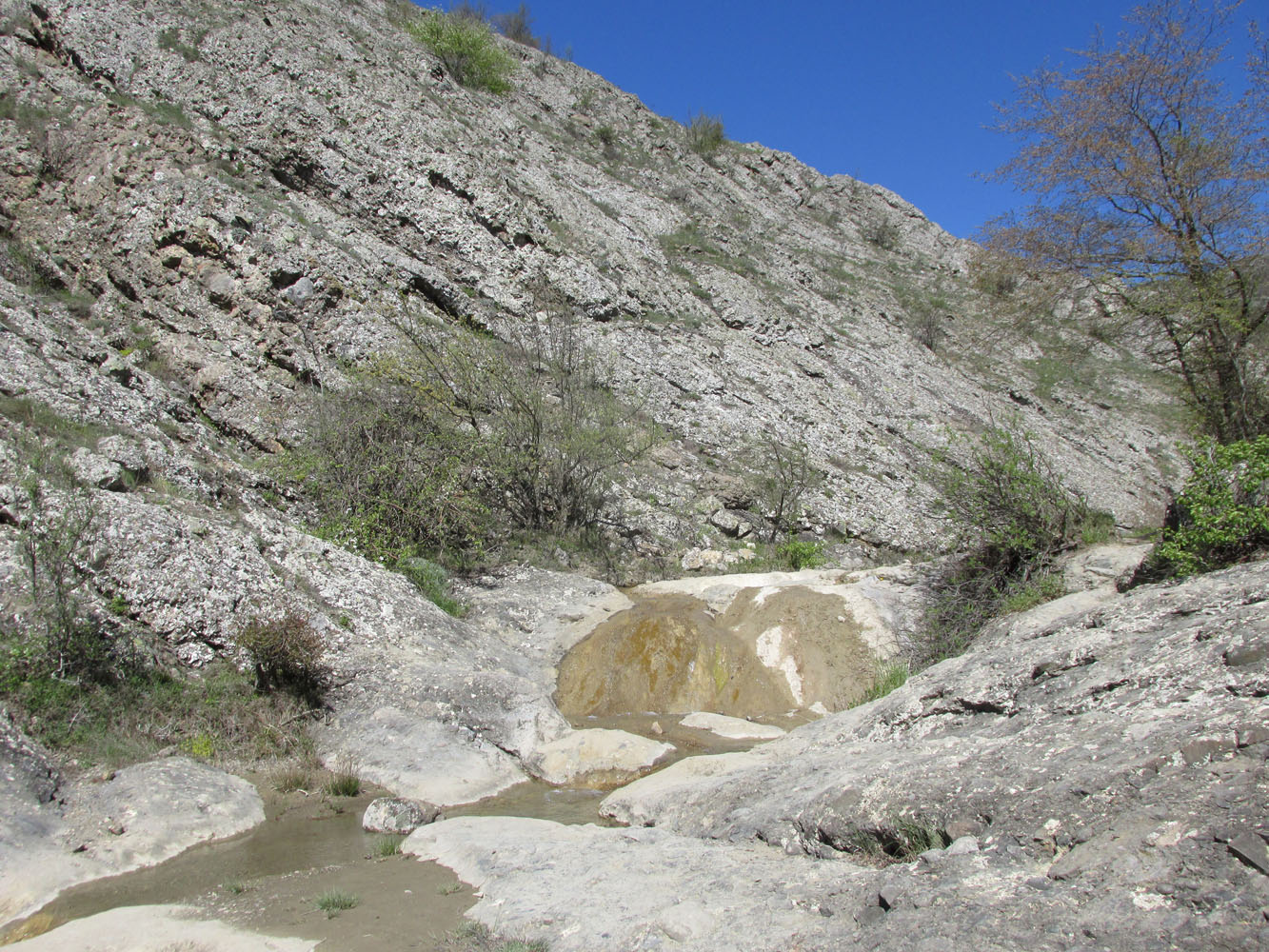 Ущелье реки Пананьян-Узень, image of landscape/habitat.