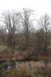 Image of landscape