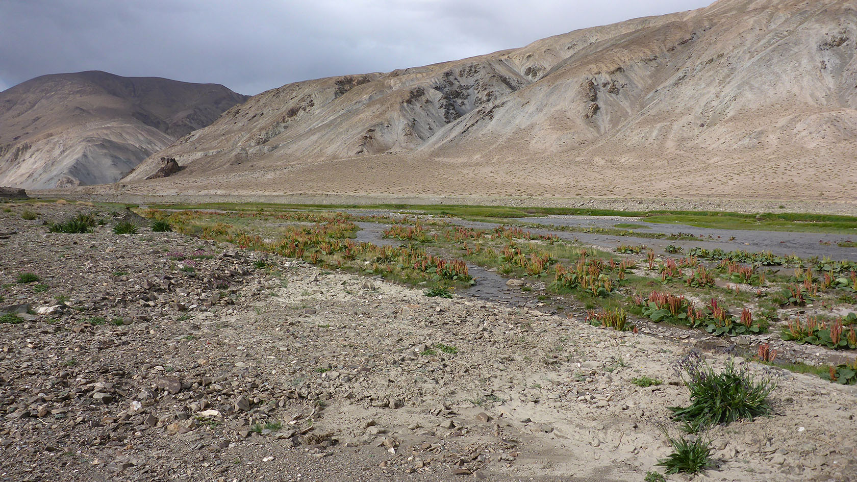 Верховья реки Кокуйбель, image of landscape/habitat.