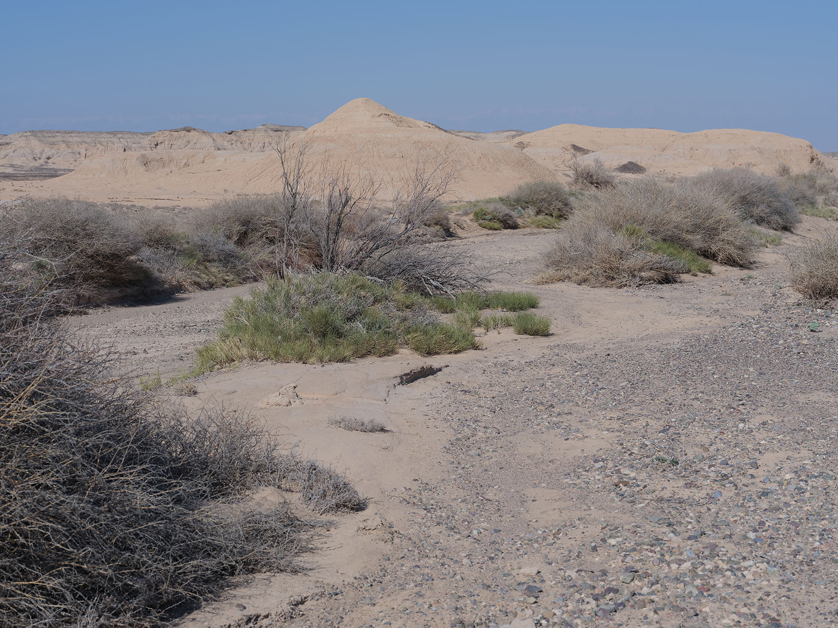 Сарымсакты, image of landscape/habitat.