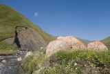 Image of landscape