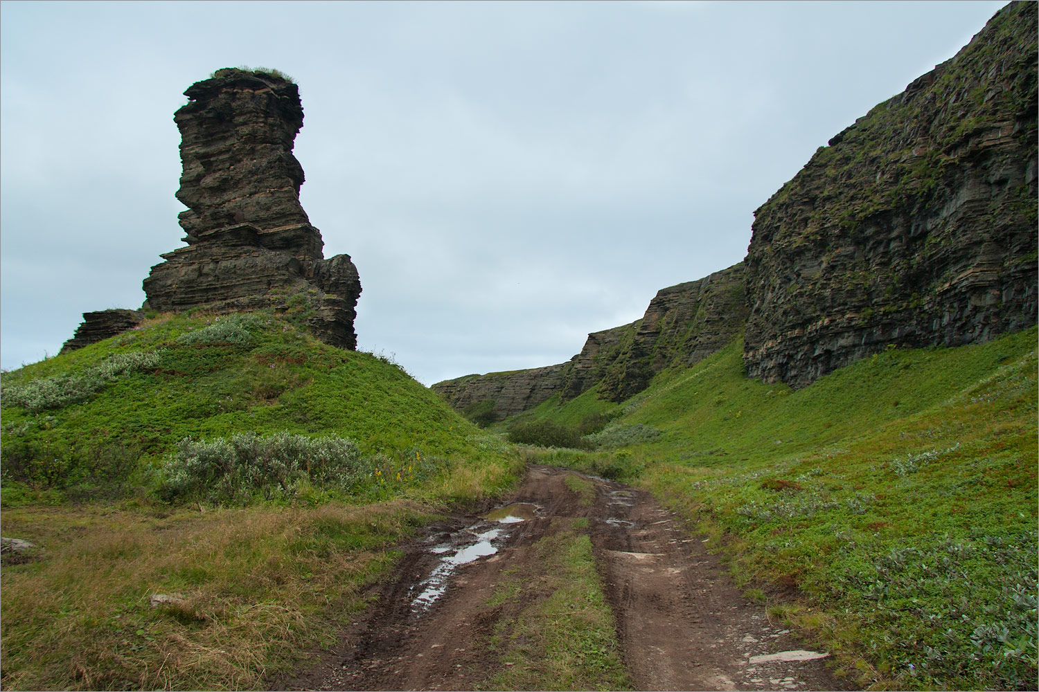 Мыс Земляной, image of landscape/habitat.