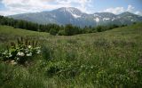 Image of landscape