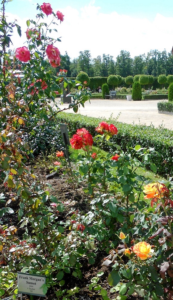 Рундальский дворец Бирона, image of landscape/habitat.