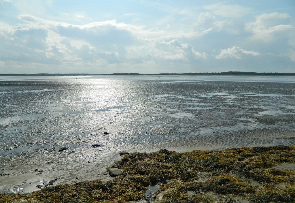 Унежма, image of landscape/habitat.