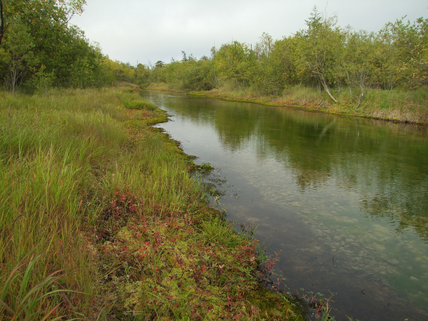 Ола и окрестности, image of landscape/habitat.