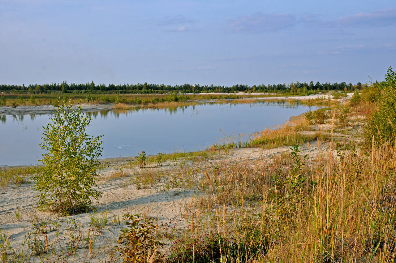 Лопатинские карьеры, image of landscape/habitat.