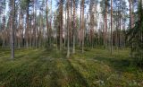 Image of landscape
