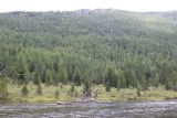 Image of landscape