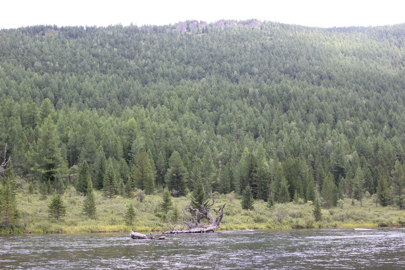 Долина реки Мульта, image of landscape/habitat.