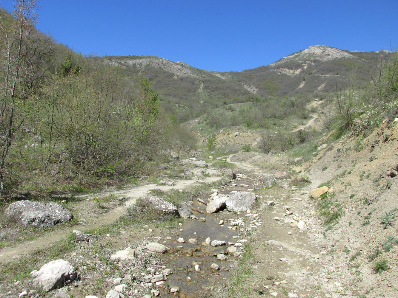 Ущелье реки Пананьян-Узень, image of landscape/habitat.