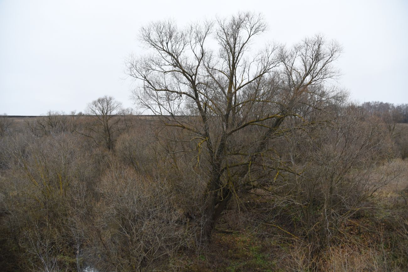 Окрестности деревни Рыхотка, image of landscape/habitat.