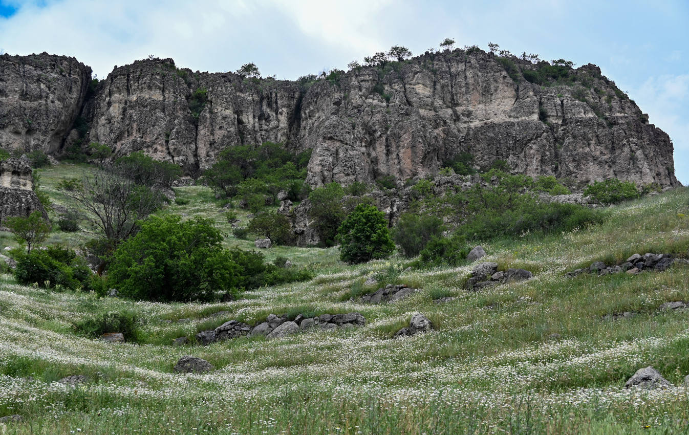Пещерный монастырь Вардзиа, image of landscape/habitat.