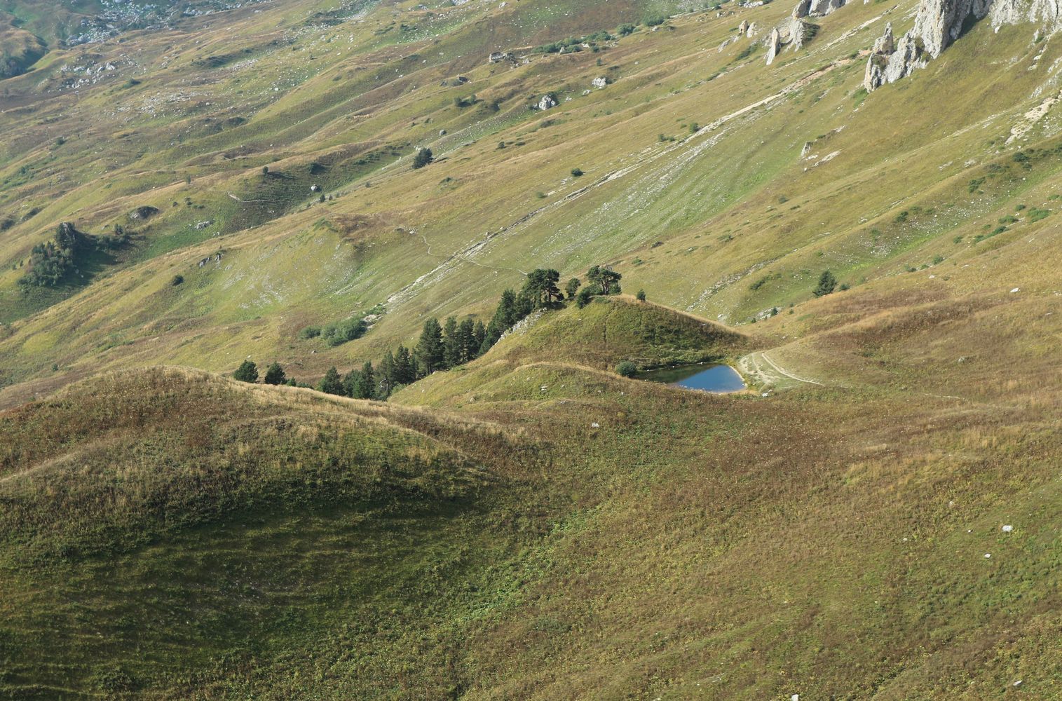 Озеро Змеиное, image of landscape/habitat.