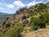 Image of landscape