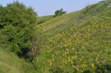 Image of landscape
