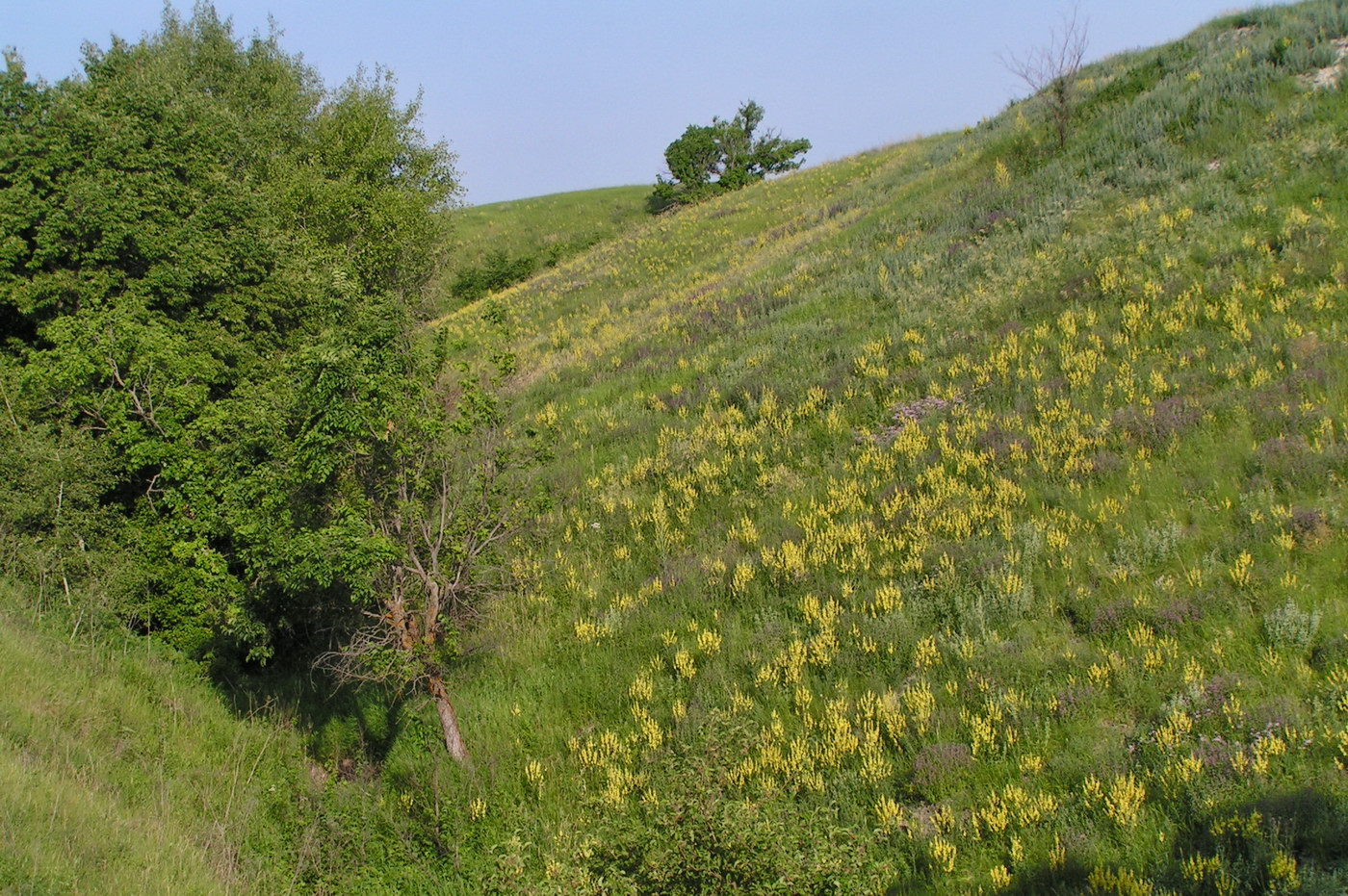 Стефанидовка, image of landscape/habitat.