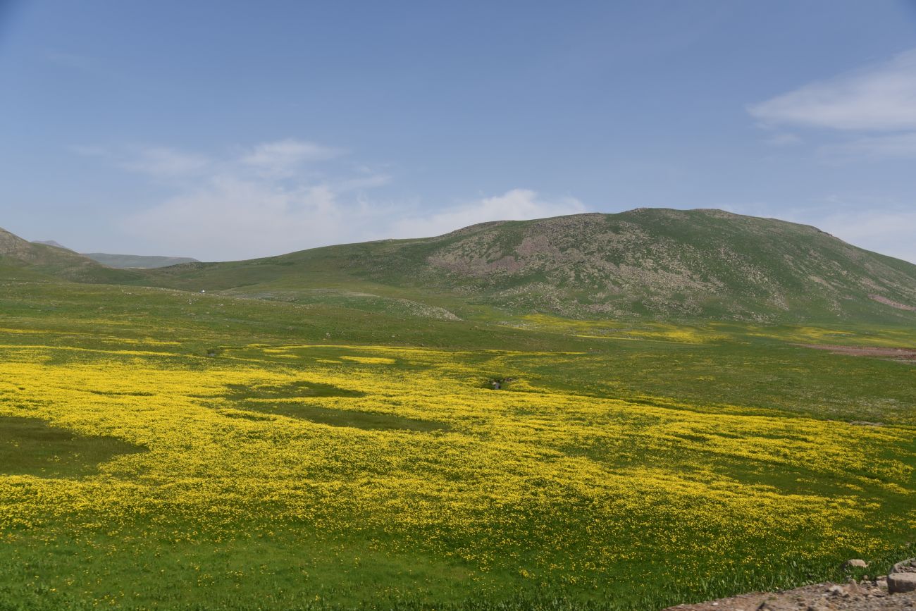 Юкарикент-Гечиды, изображение ландшафта.