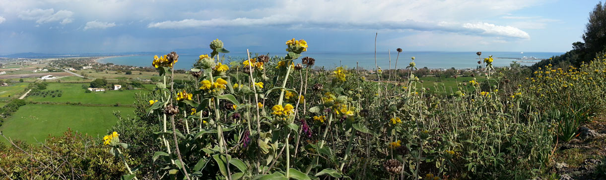 Катаколо, image of landscape/habitat.