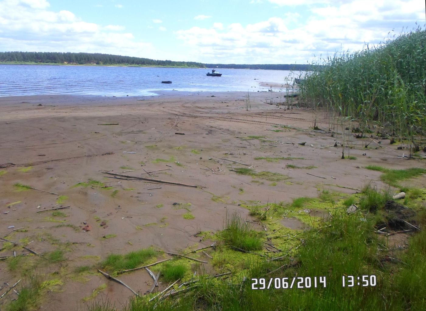 Весьегонск, image of landscape/habitat.