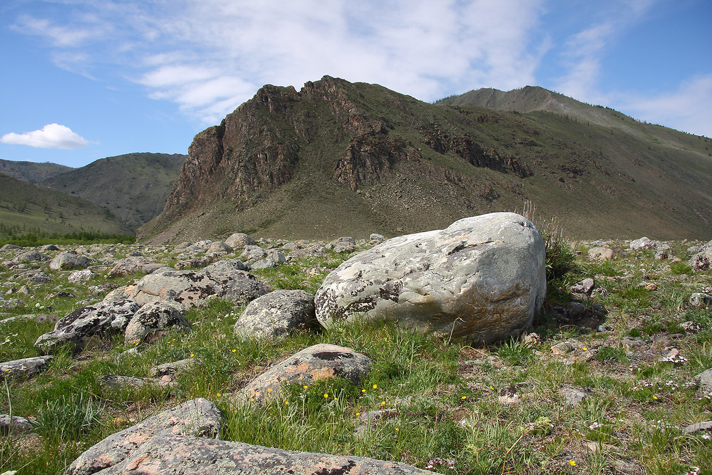 Окрестности Сармы, image of landscape/habitat.