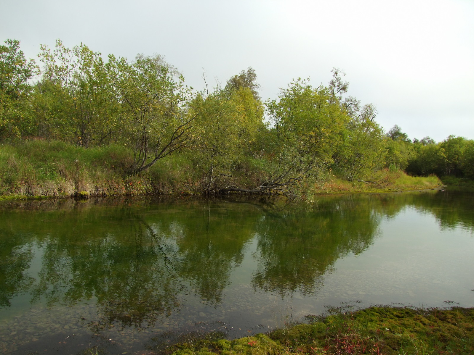 Ола и окрестности, image of landscape/habitat.