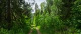 Саргая и окрестности, image of landscape/habitat.