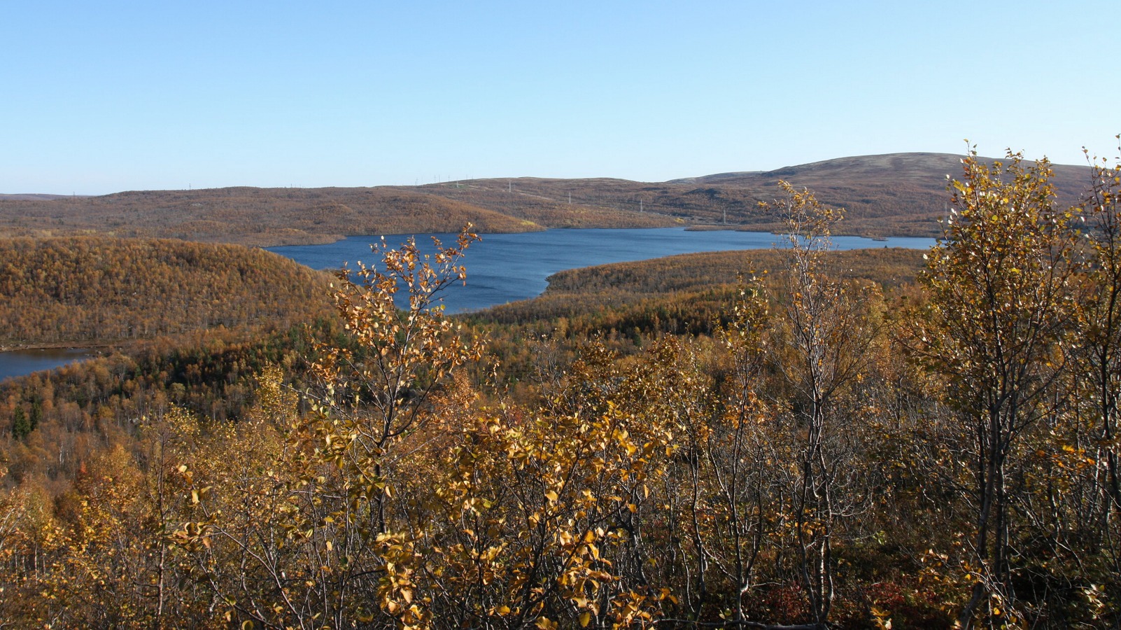 Окрестности озера Лапоть, image of landscape/habitat.