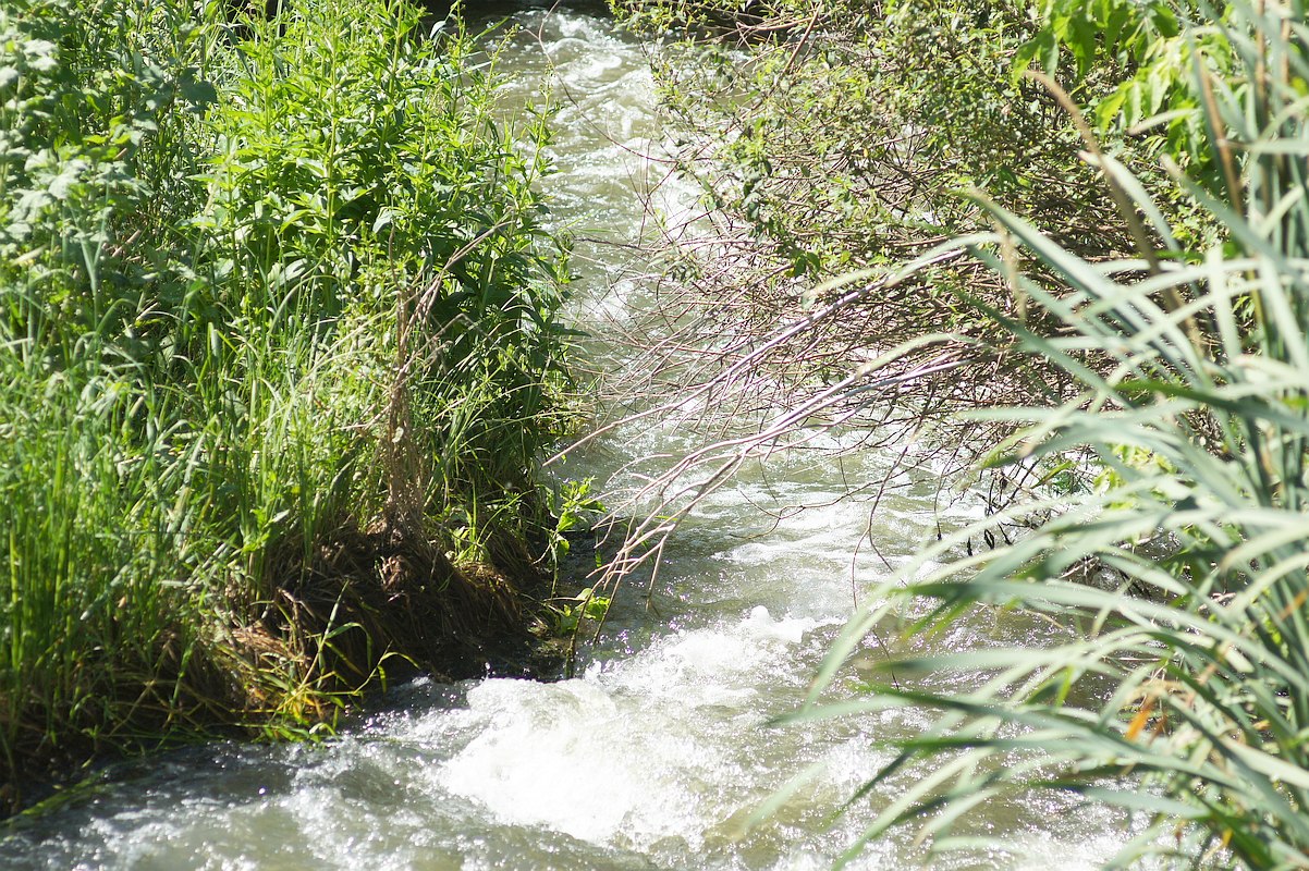 Верховье реки Кальмиус, image of landscape/habitat.