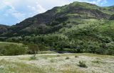 Image of landscape