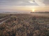 Image of landscape