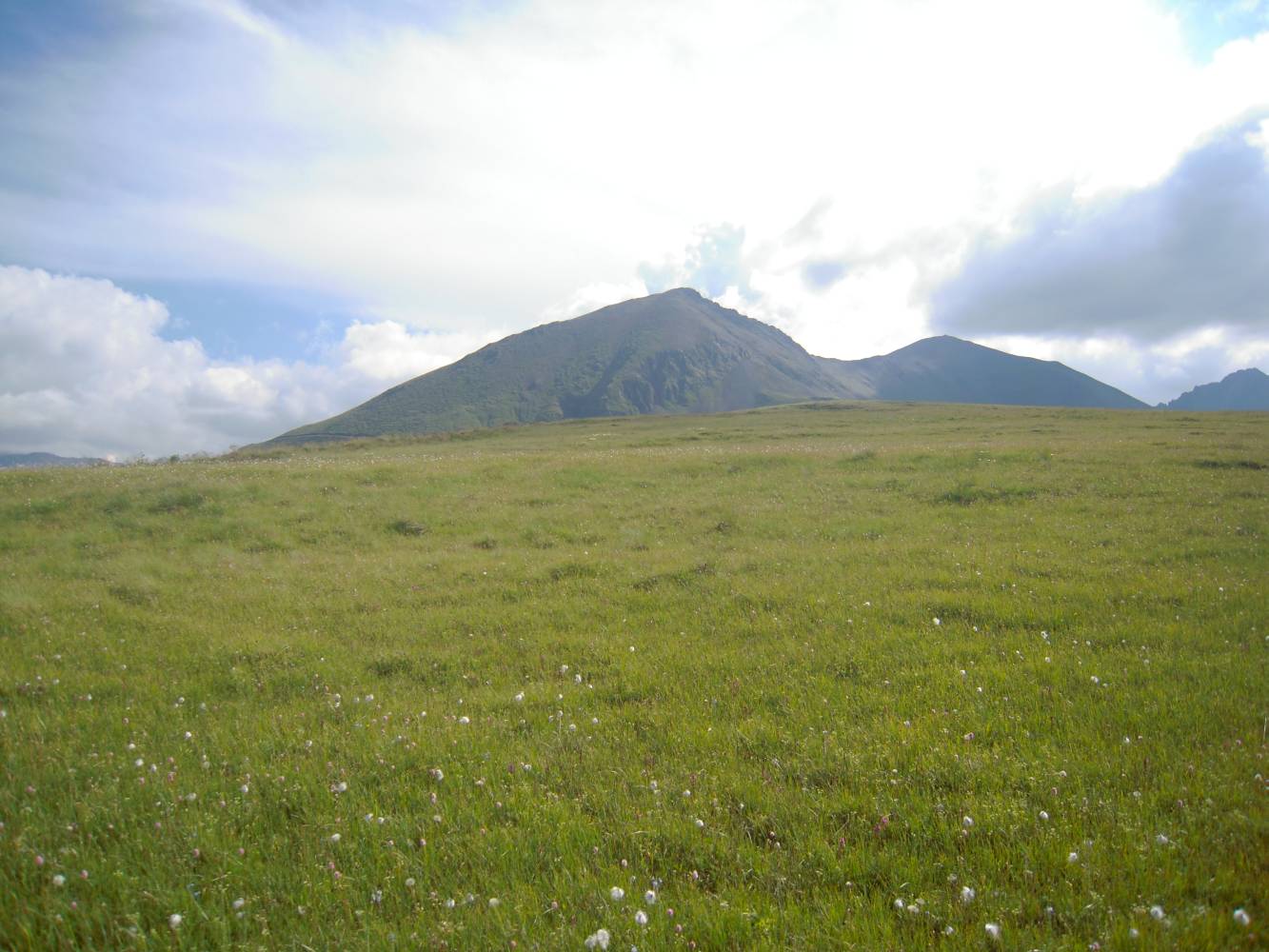 Гора Тузлук, image of landscape/habitat.