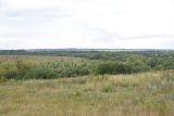 Image of landscape