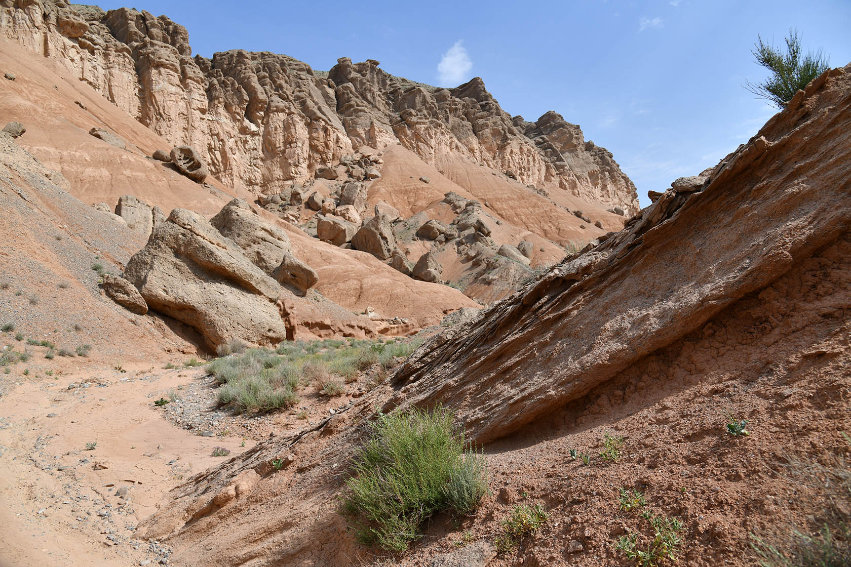 Исфара, image of landscape/habitat.