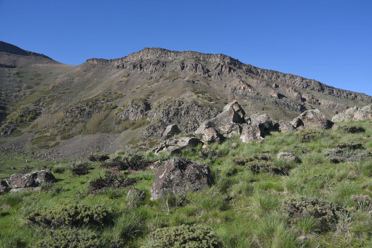 Кальдера Немрут, image of landscape/habitat.