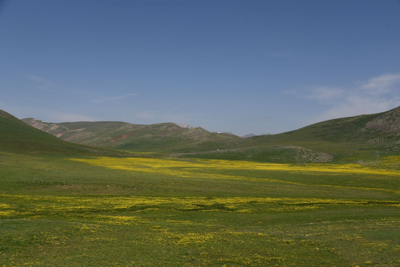 Юкарикент-Гечиды, изображение ландшафта.