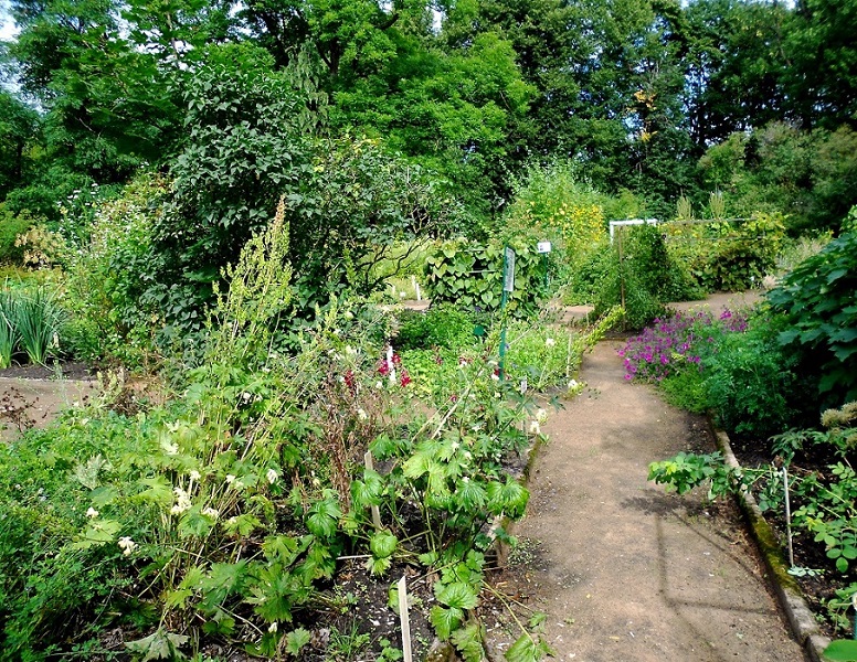 Ботсад Латвийского Университета, image of landscape/habitat.