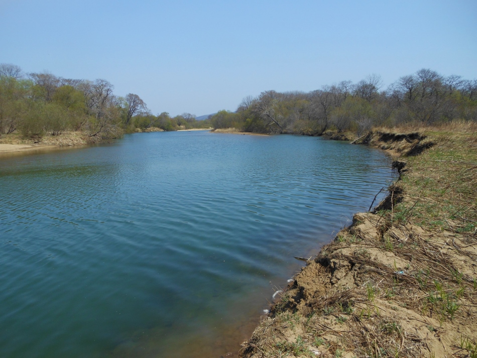 Новолитовск, image of landscape/habitat.
