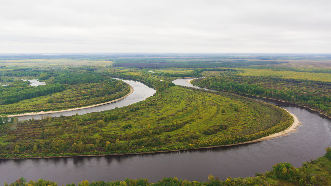 Васюган, image of landscape/habitat.