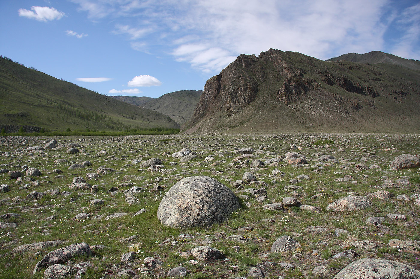 Окрестности Сармы, image of landscape/habitat.