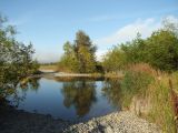 Ола и окрестности, image of landscape/habitat.