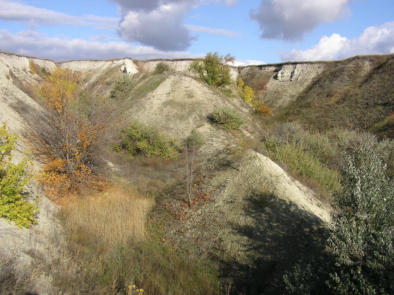 Буданова Гора, image of landscape/habitat.