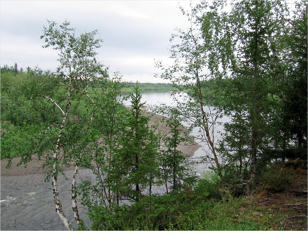 Юнъяха, image of landscape/habitat.