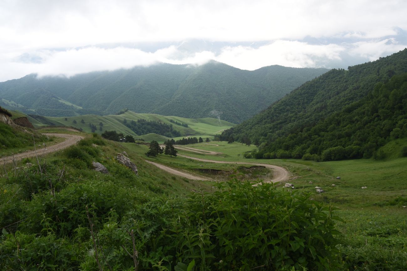 Окрестности урочища Оасег, image of landscape/habitat.