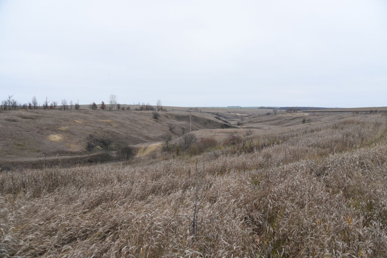Церковная балка, image of landscape/habitat.