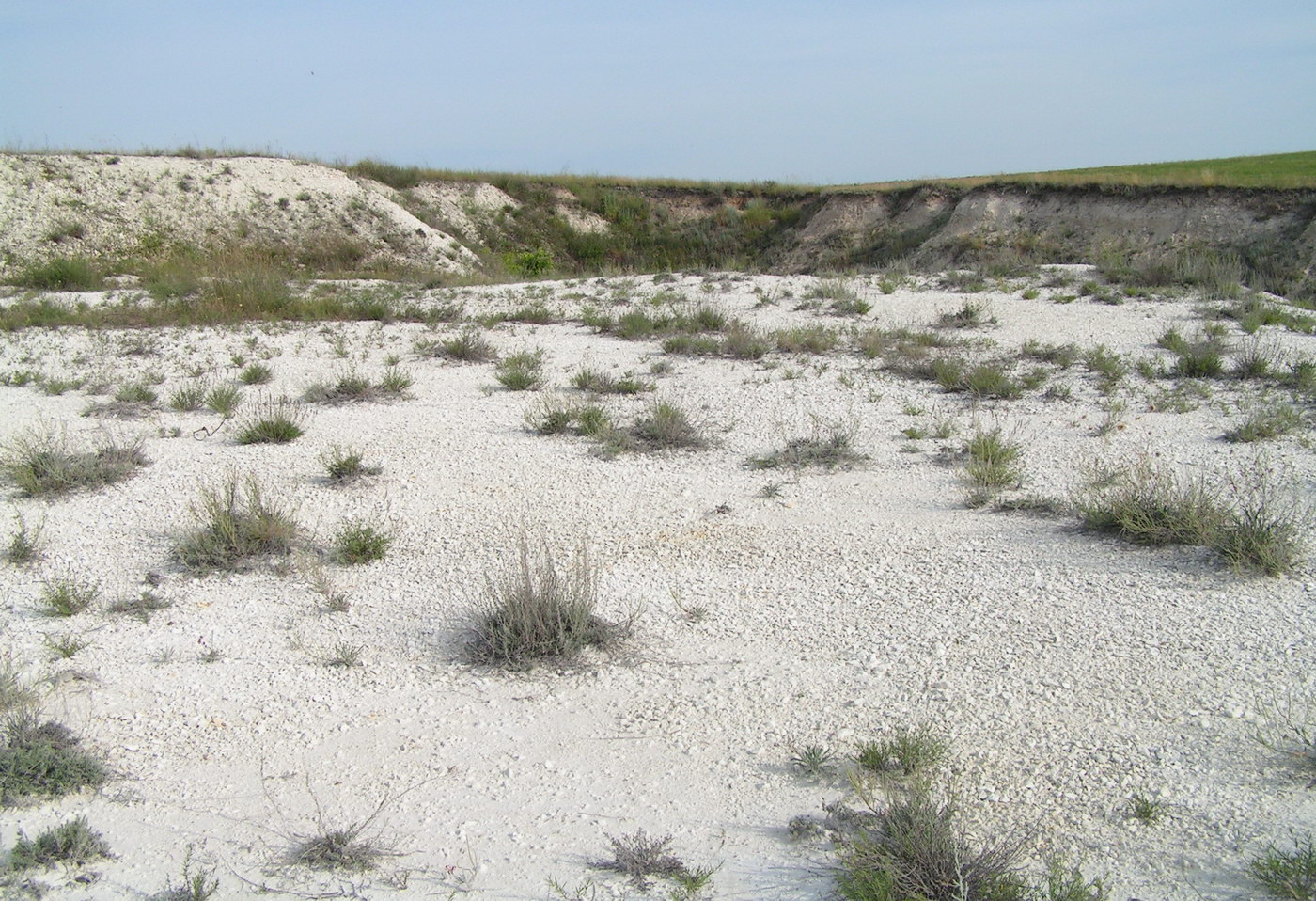 Стефанидовка, image of landscape/habitat.