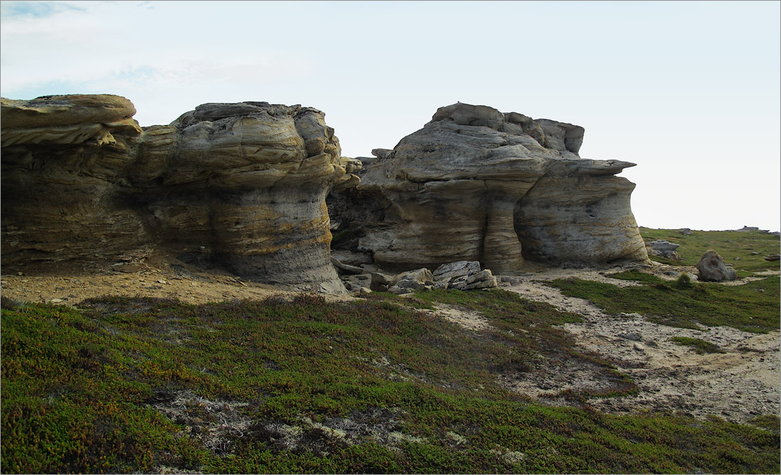 Мыс Земляной, image of landscape/habitat.