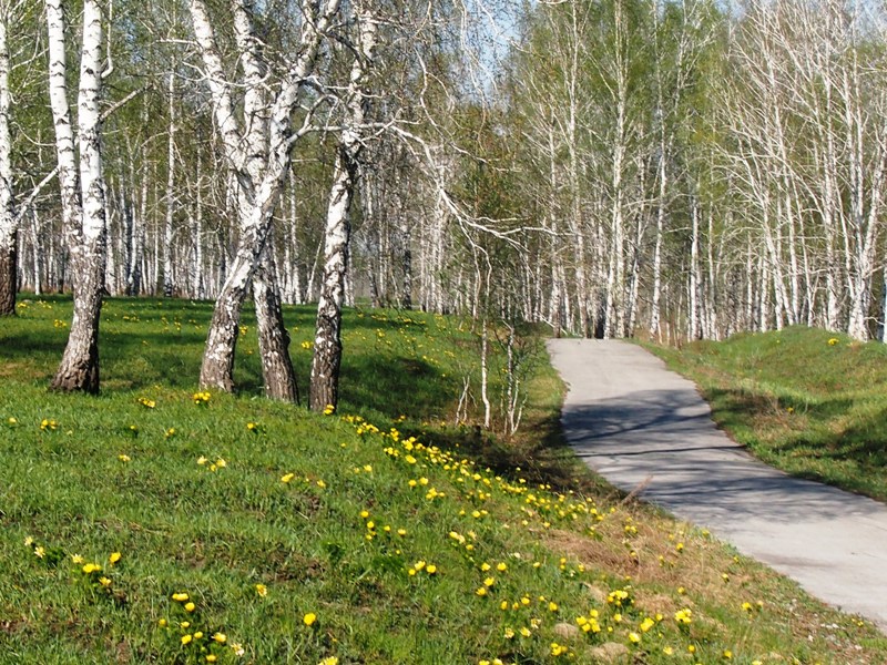 Дарвинская тропа, изображение ландшафта.